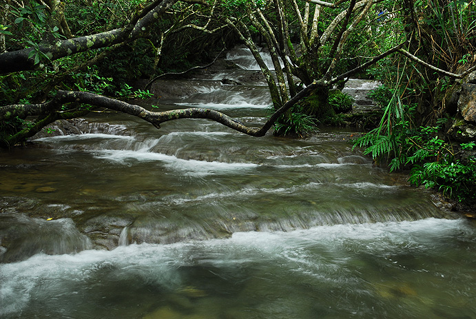 2007109194727495.jpg
