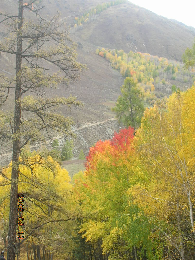 DSCN2695.JPG