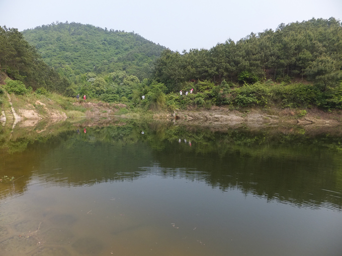 dscf2424_����.jpg