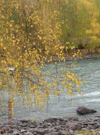 δ����123.jpg