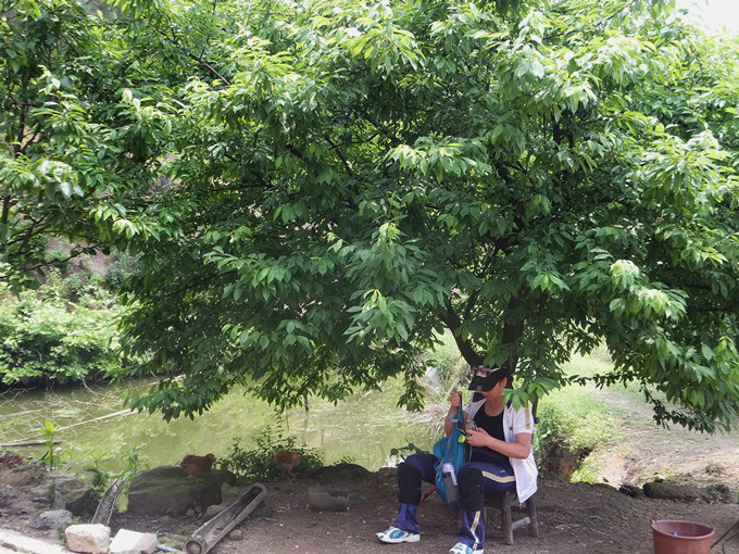 dscf2483_����.jpg