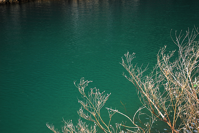 20071011153744640.jpg