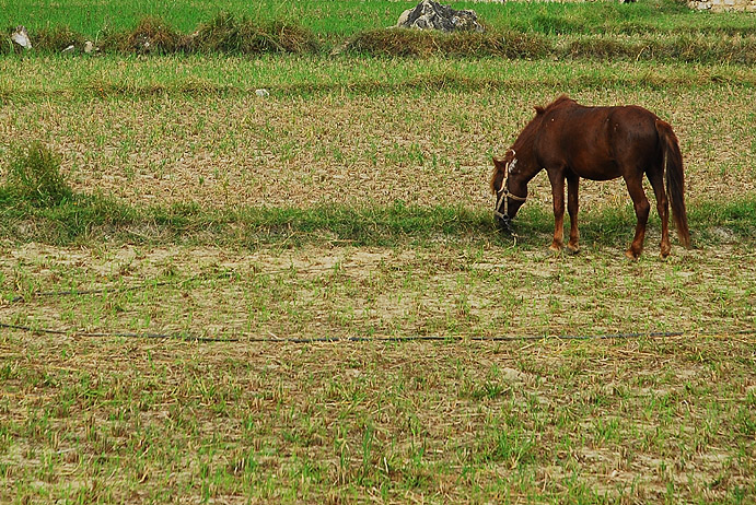 2007101435547666.jpg