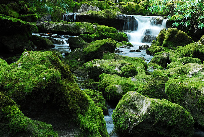 200710144151315.jpg