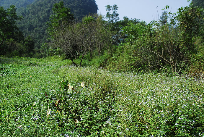 200710145257196.jpg
