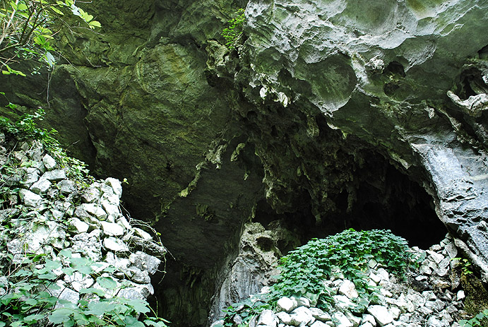 2007101417211377.jpg