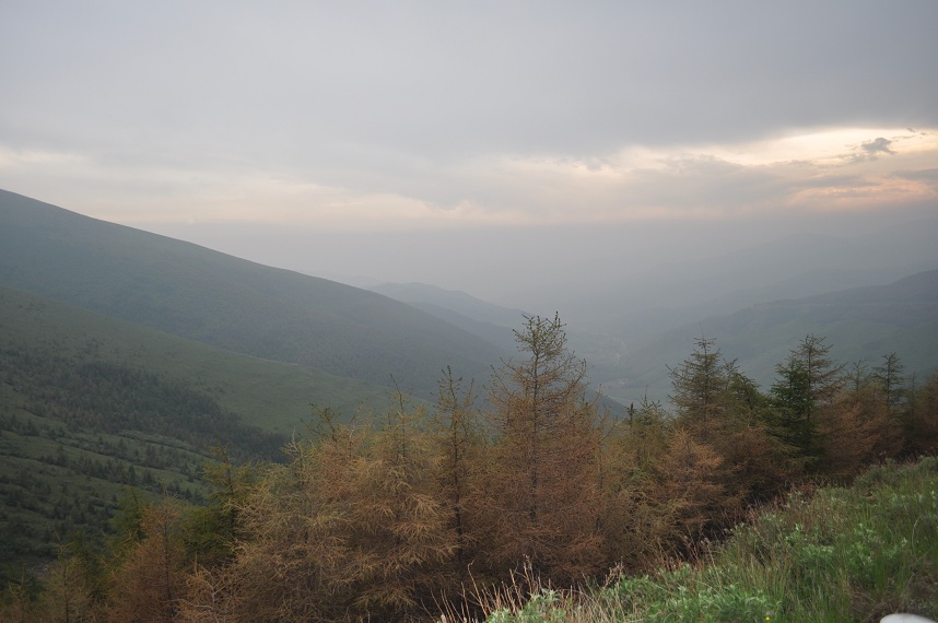 DSC_0029.JPG
