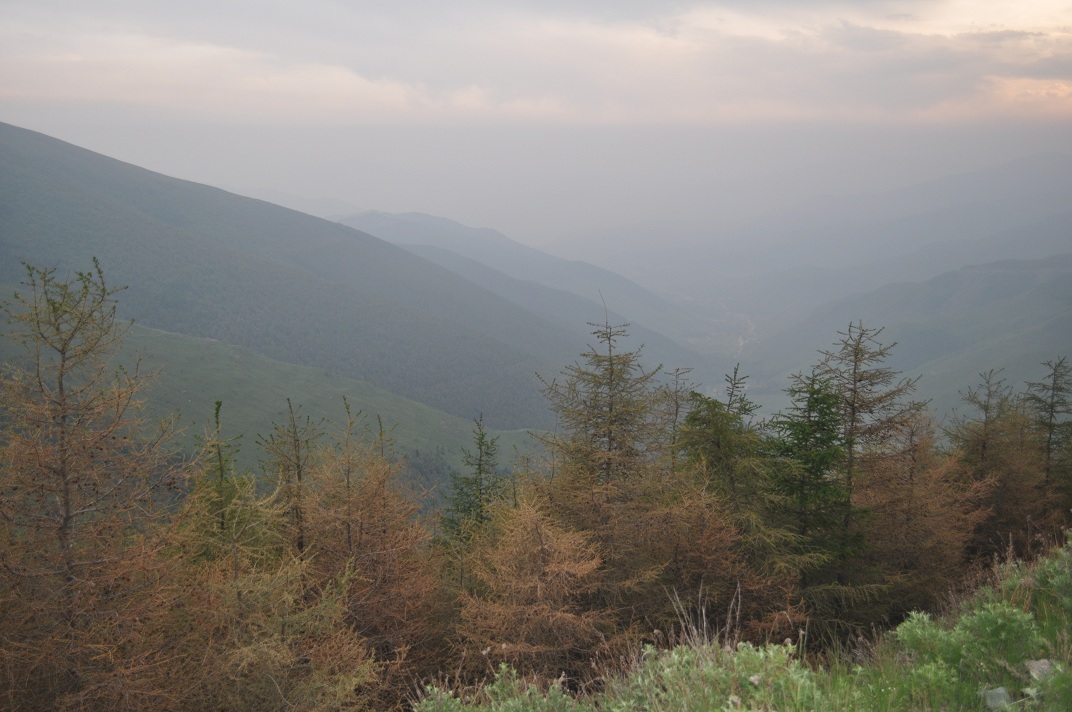DSC_0040.JPG