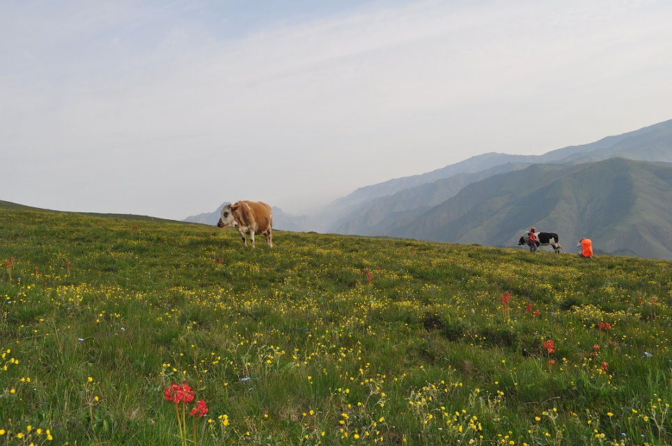 DSC_0196.JPG