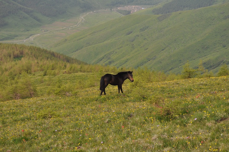 DSC_0210.JPG