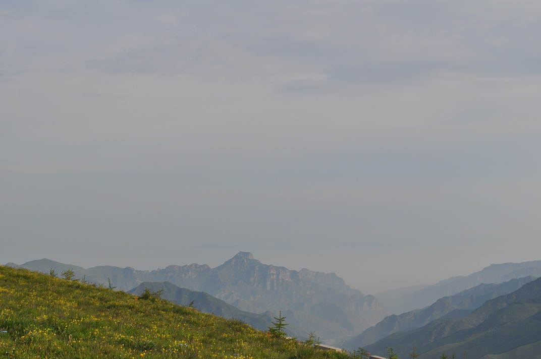 DSC_0174.JPG