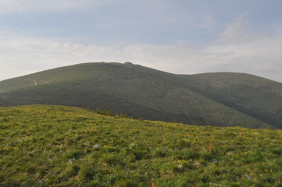 DSC_0179.JPG