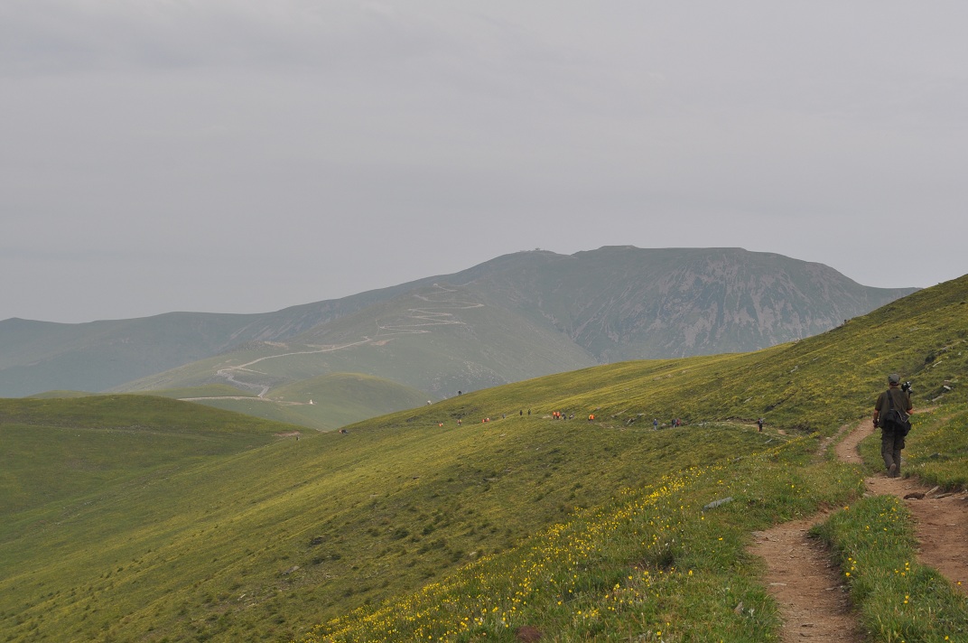 DSC_0215.JPG