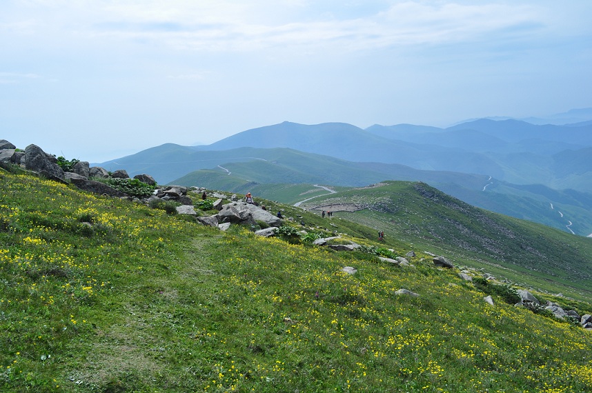 DSC_0260.JPG
