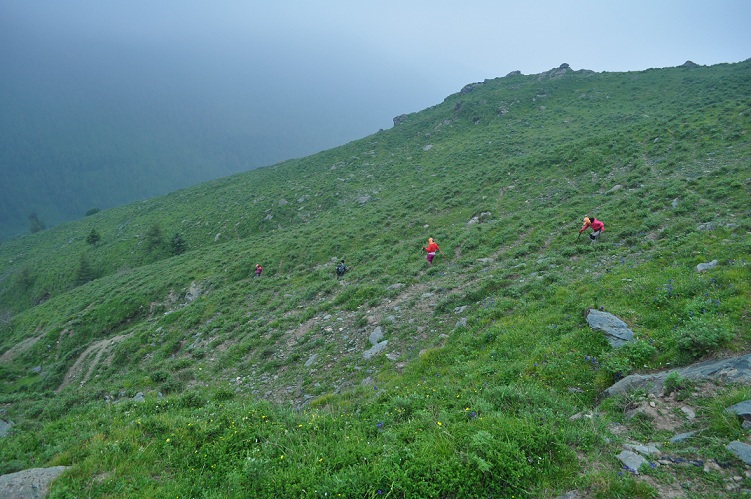 DSC_0407.JPG