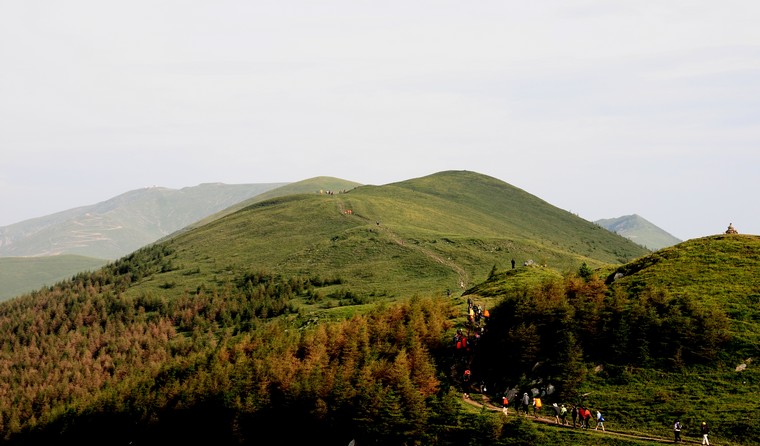 DSC_2474.jpg