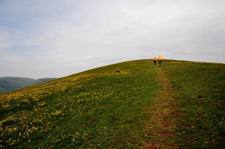 DSC_2520.jpg