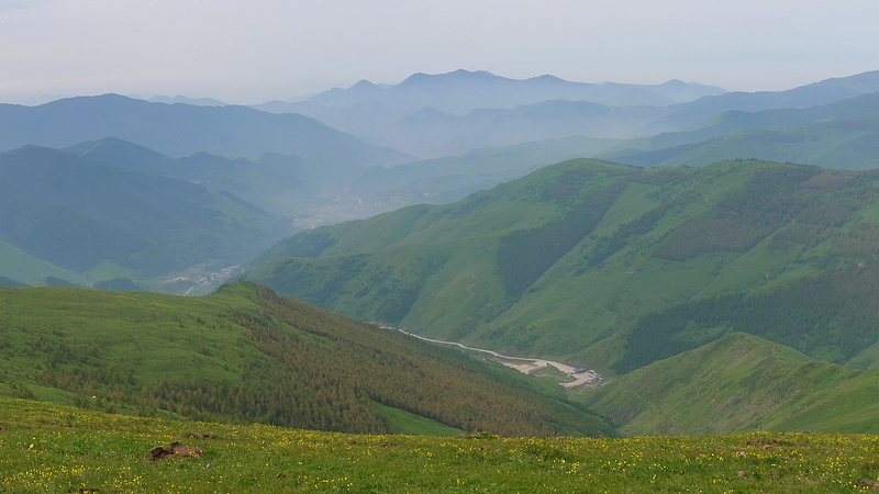 P1010896.jpg