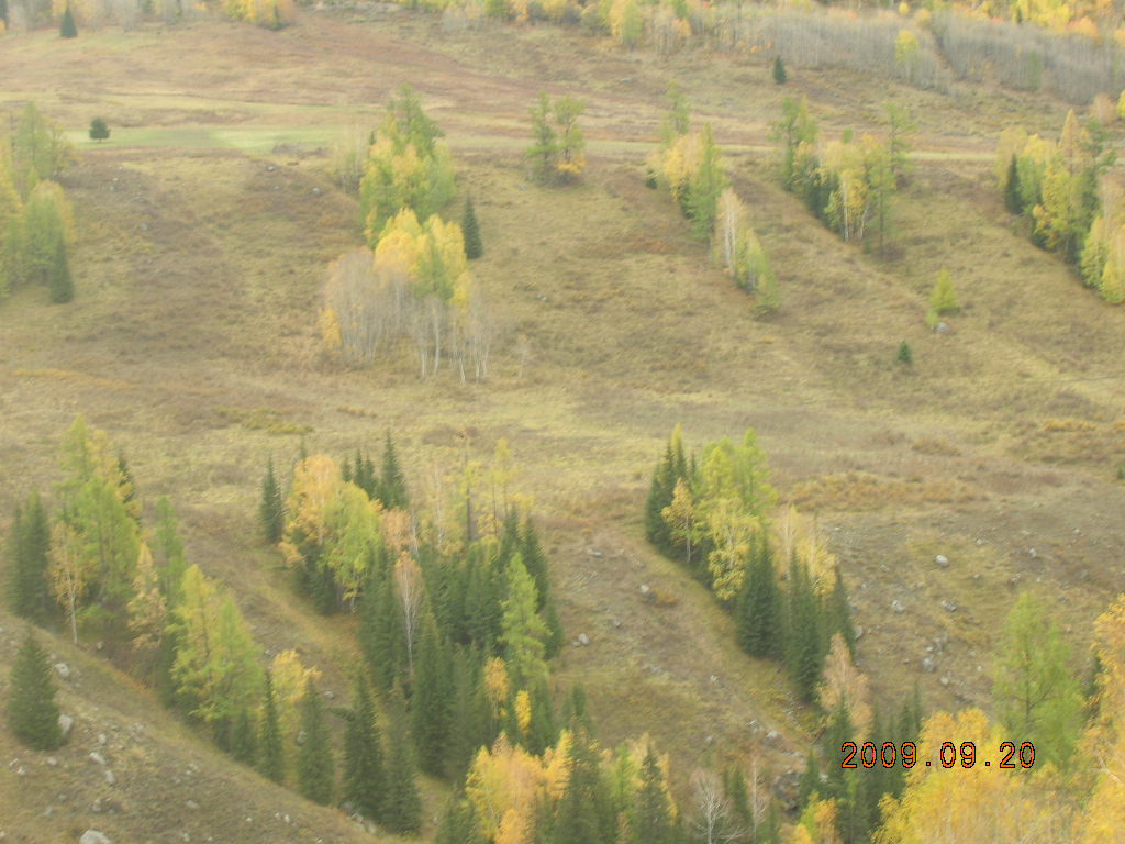 DSCN2767.JPG
