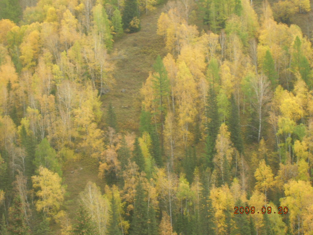 DSCN2787.JPG