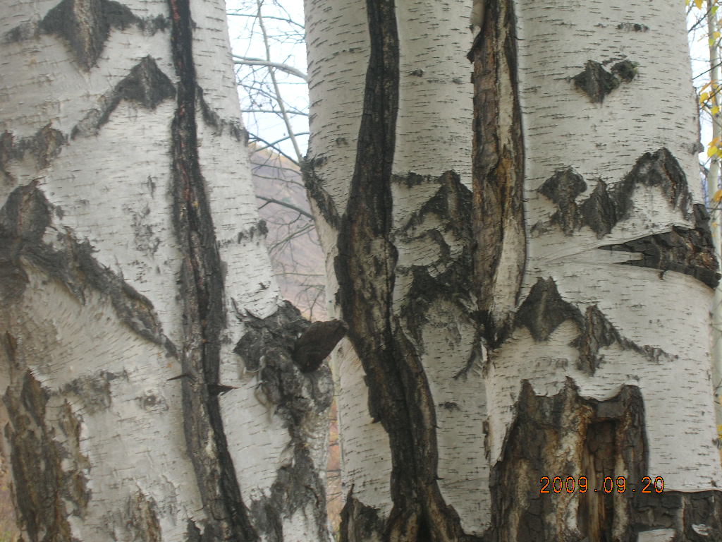 DSCN2791.JPG