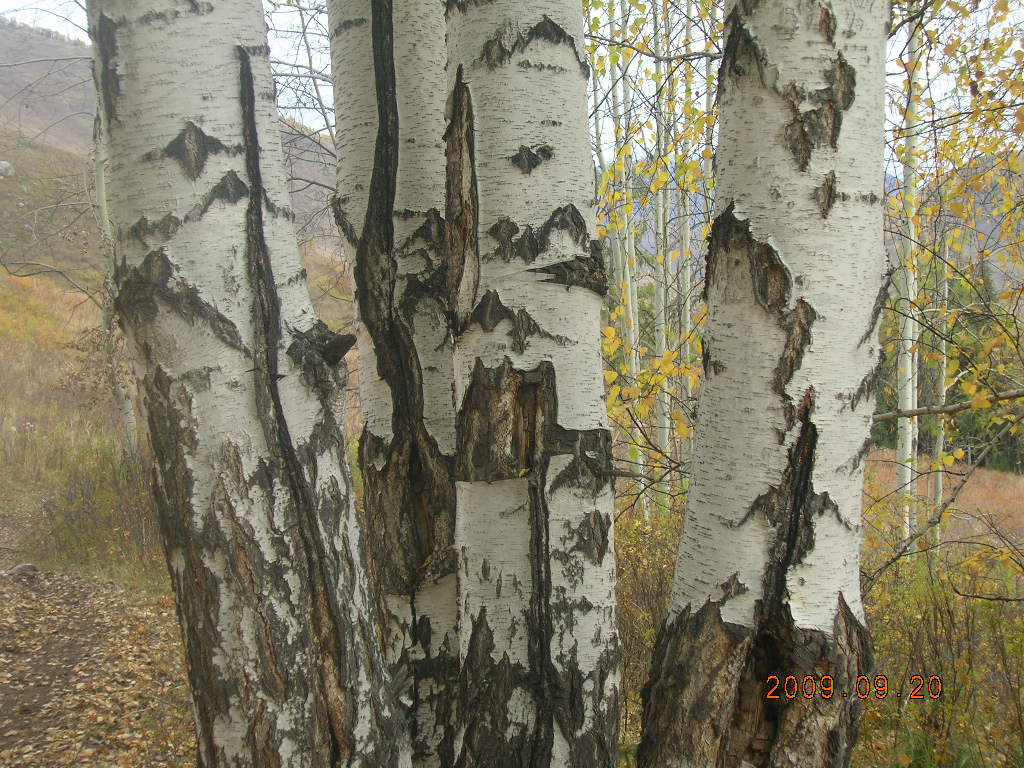 DSCN2792.JPG