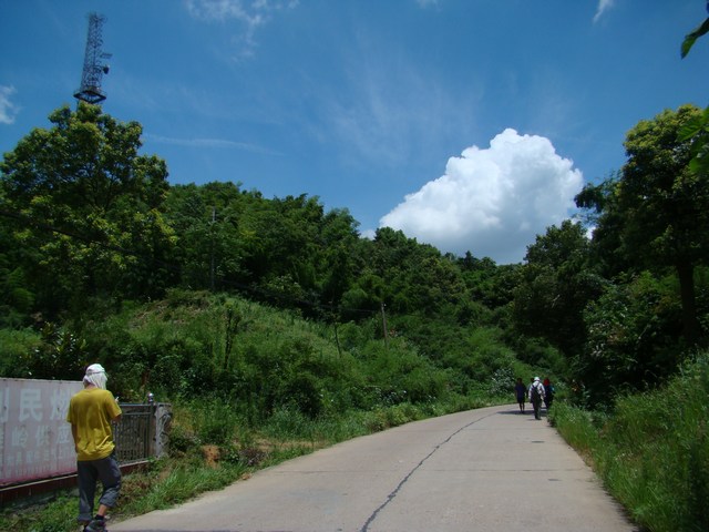 88.jpg