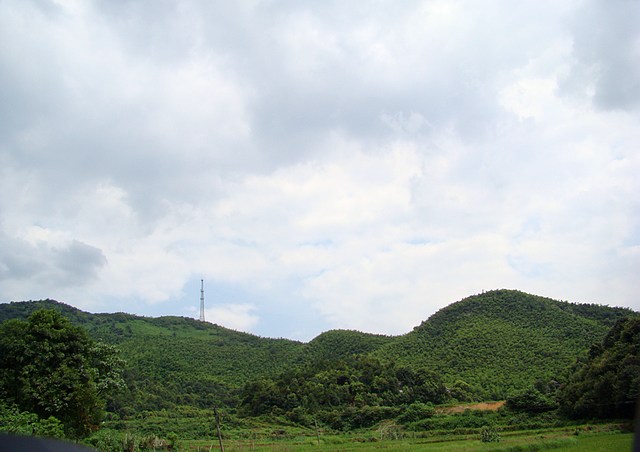 100.jpg