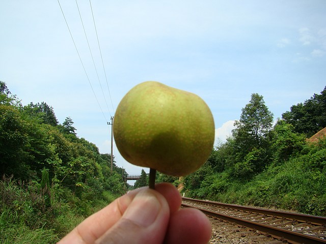 110.jpg