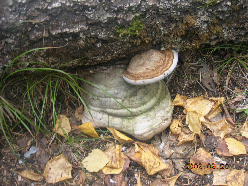 DSCN2828.JPG
