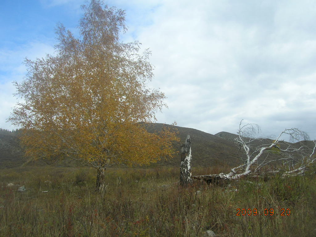 DSCN2829.JPG