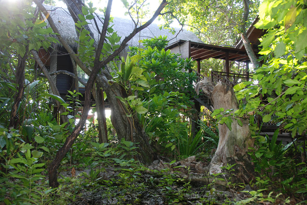 DSC_1367.JPG