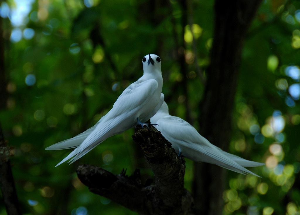 DSC_1378.jpg