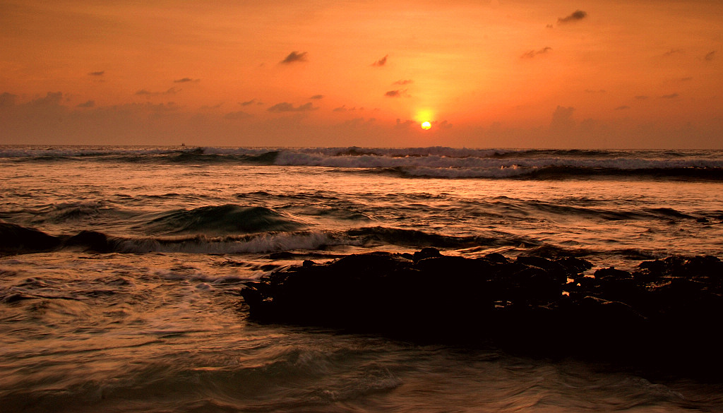 DSC_1306kkkkkkkkk.jpg