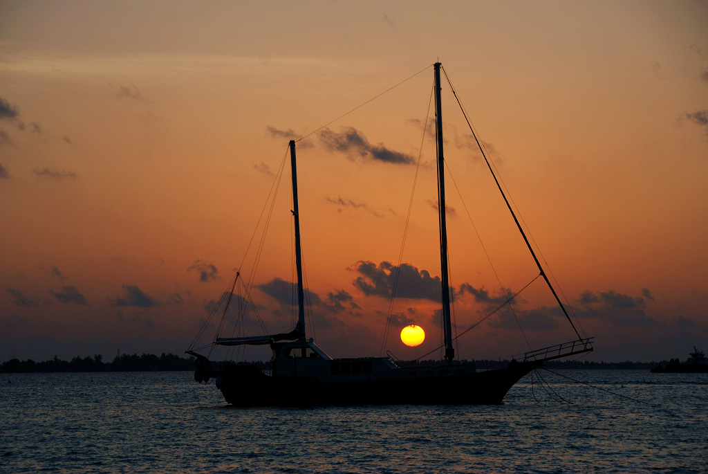 DSC_0651.jpg