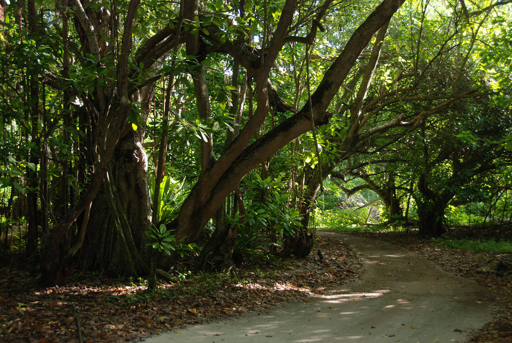 DSC_1416.JPG