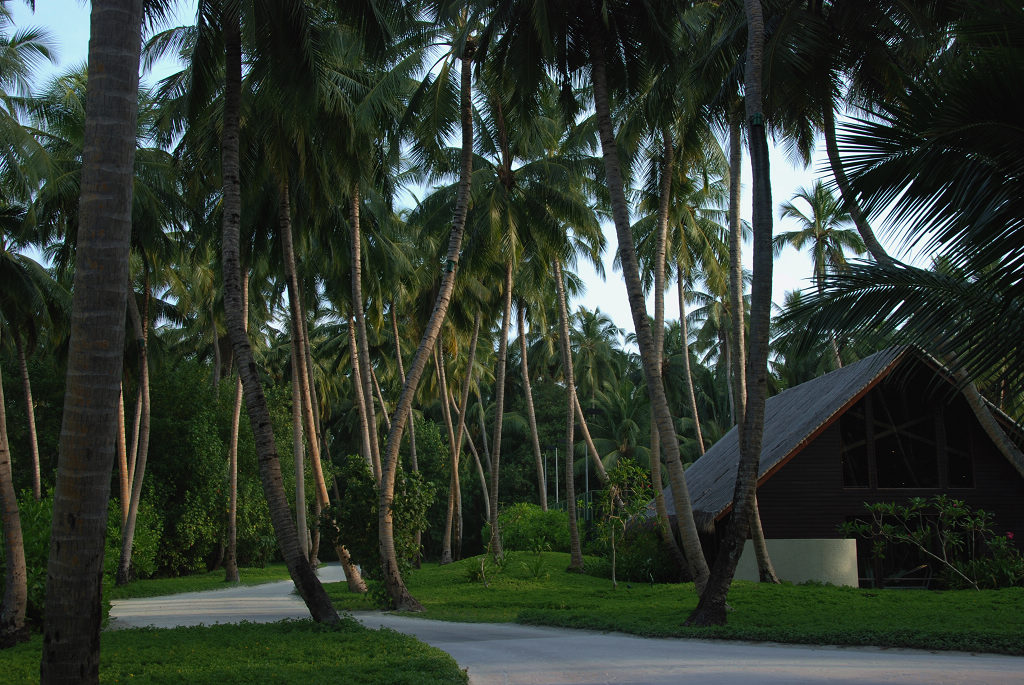 DSC_0081.jpg