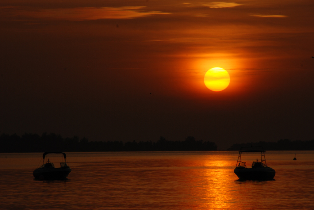 DSC_0444.jpg