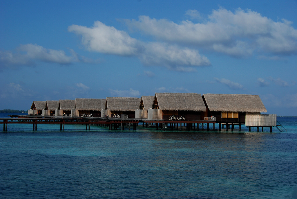 DSC_0217.jpg