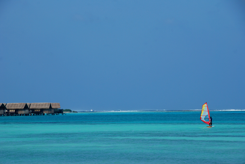 DSC_1460.jpg