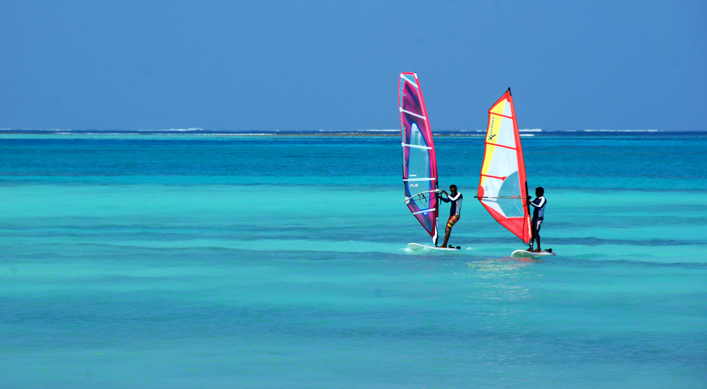 DSC_1516.jpg