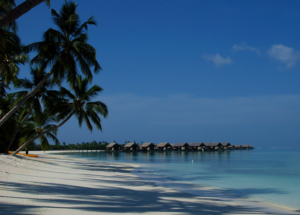 DSC_0675.jpg