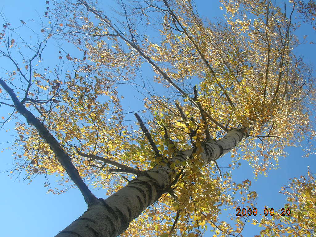DSCN2872.JPG