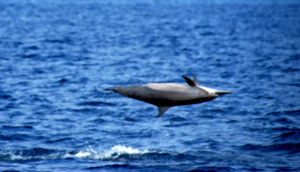 DSC_0907.jpg