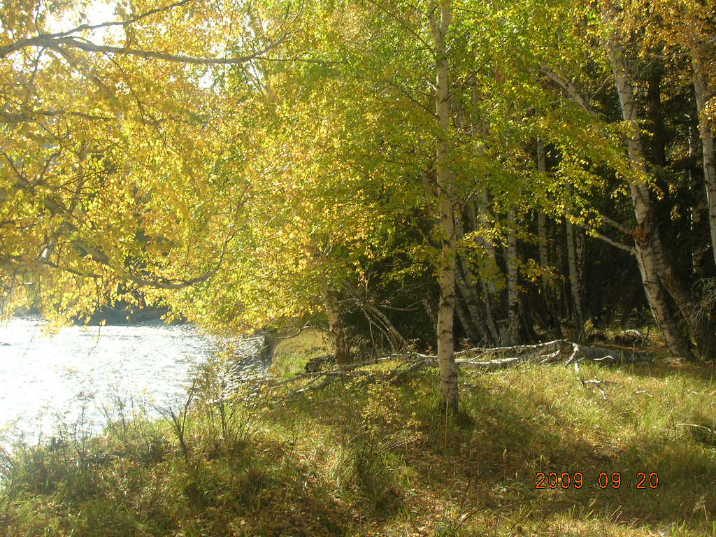 DSCN2875.JPG