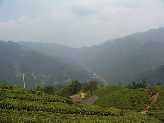 DVCI6153.jpg