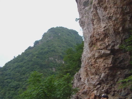 DVCI6192.jpg