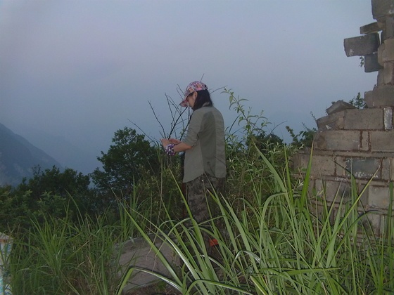 DVCI6199.jpg