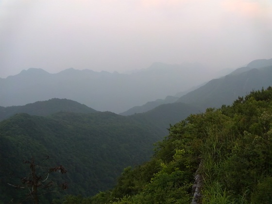 DVCI6222.jpg
