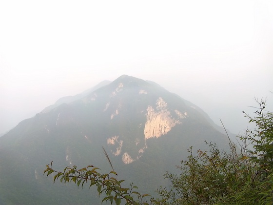 DVCI6270.jpg